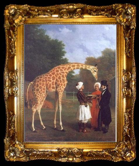framed  Jacques-Laurent Agasse The Nubian Giraffe, ta009-2